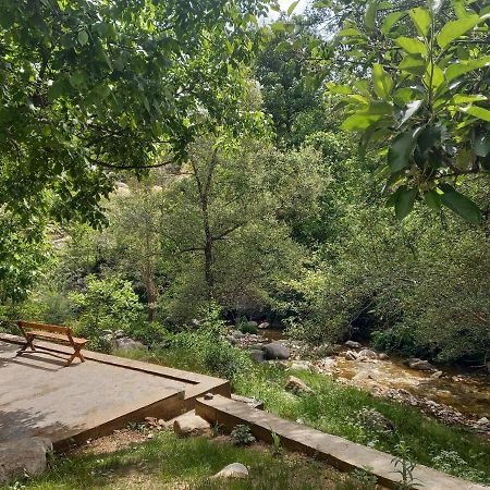 Forest Guest House Mirzakishlak Luaran gambar