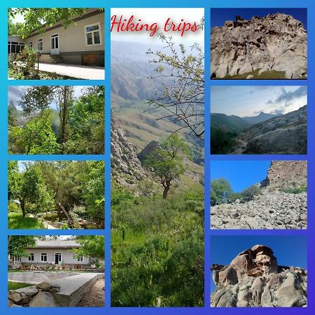 Forest Guest House Mirzakishlak Luaran gambar