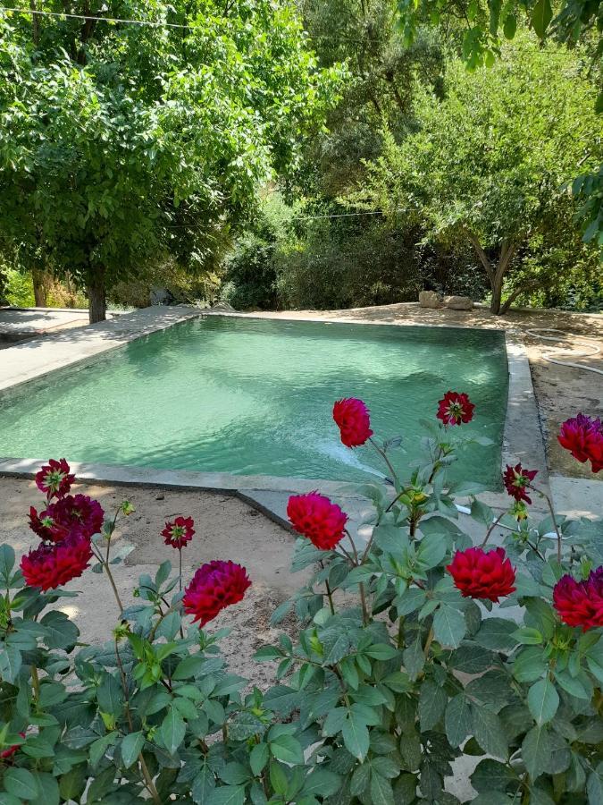 Forest Guest House Mirzakishlak Luaran gambar