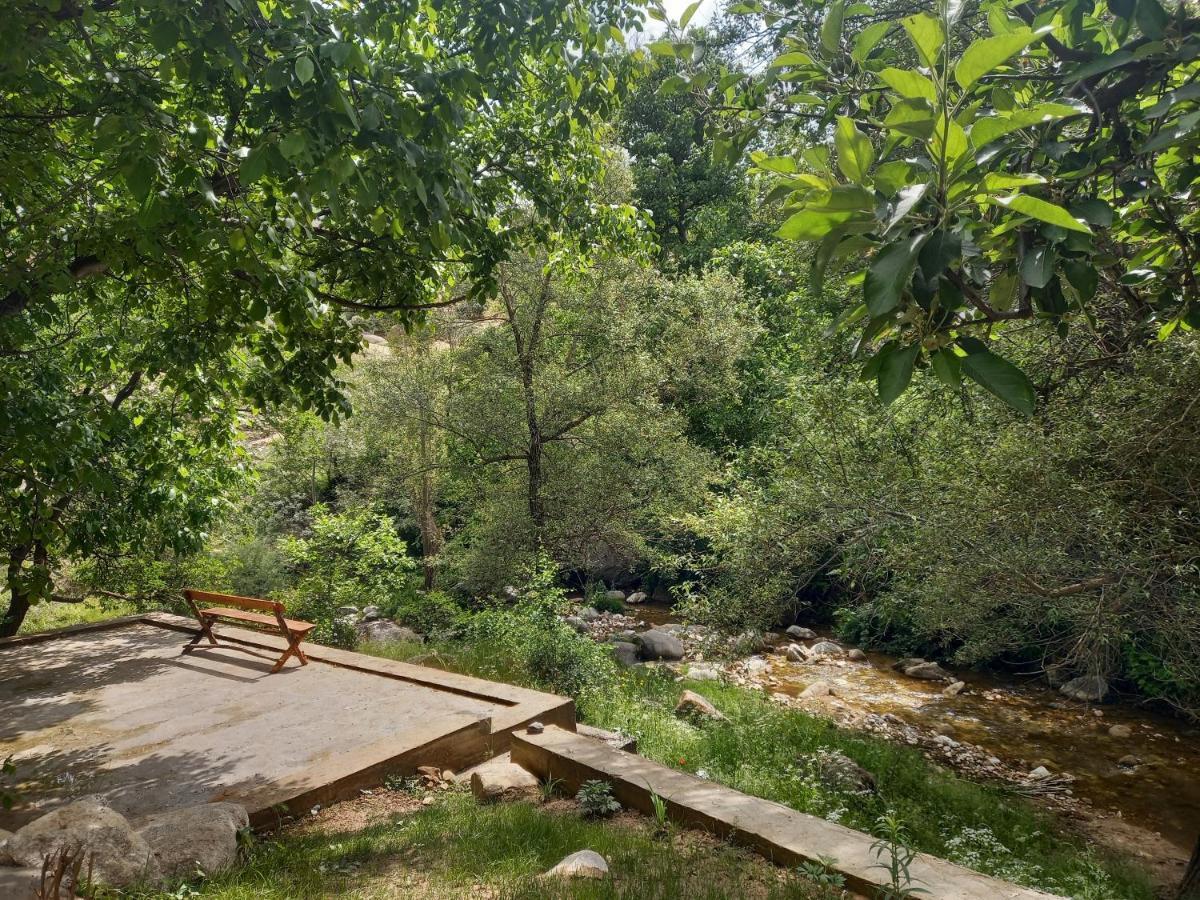 Forest Guest House Mirzakishlak Luaran gambar