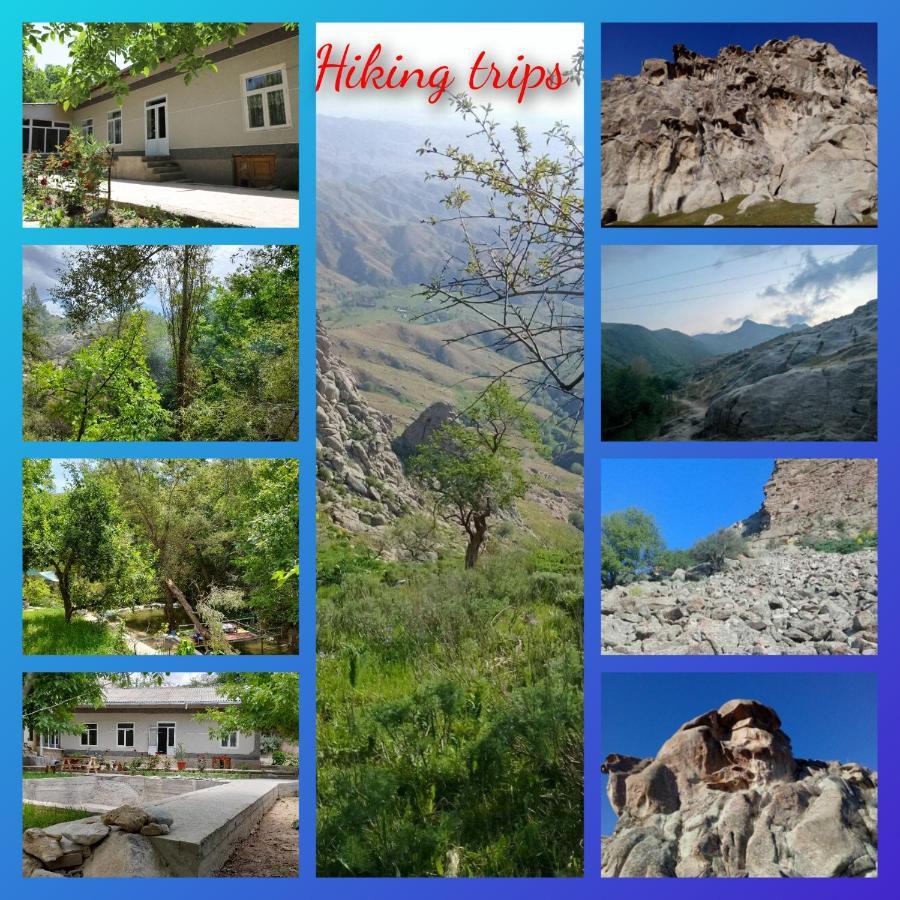 Forest Guest House Mirzakishlak Luaran gambar