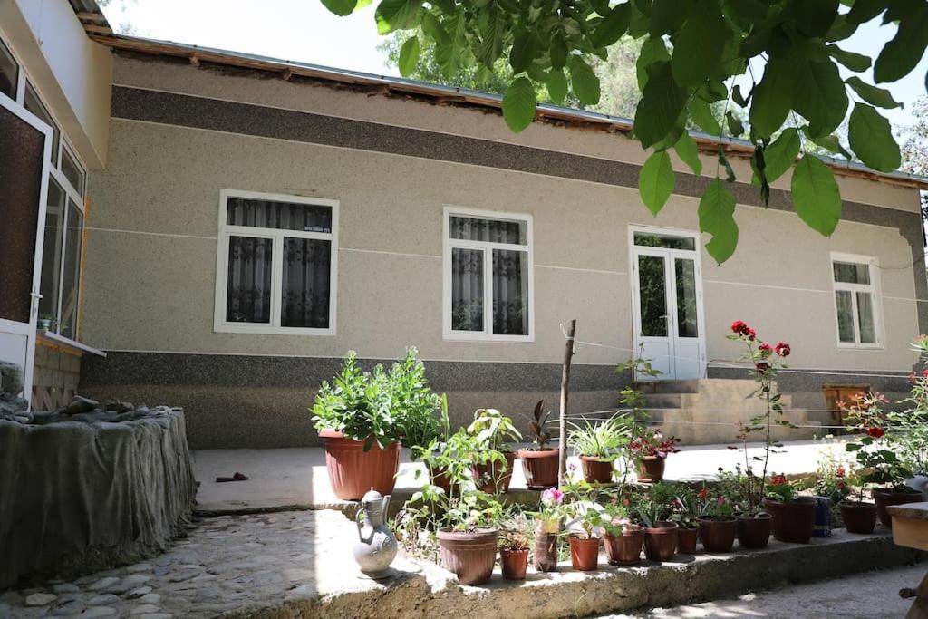 Forest Guest House Mirzakishlak Luaran gambar