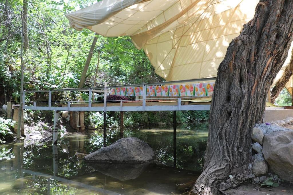 Forest Guest House Mirzakishlak Luaran gambar
