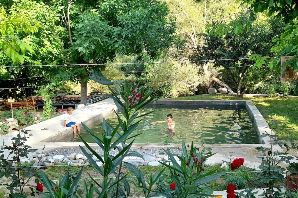 Forest Guest House Mirzakishlak Luaran gambar