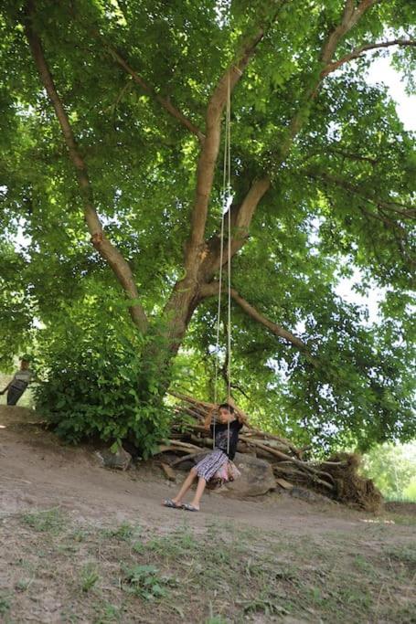 Forest Guest House Mirzakishlak Luaran gambar